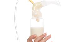 diplomado online fisiología de la nutrición infantil para nutricionistas