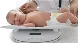 ##IMAGE##