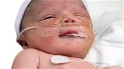 ##IMAGE##