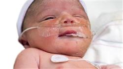 curso capacitacion nutricion clinica pediatria medicos