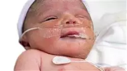 ##IMAGE##