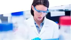 ##IMAGE##