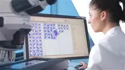 ##IMAGE##