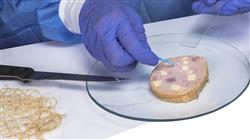 master online ingenieria alimentaria aplicada salud