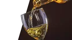 diplomado online especialista elaboracion vinos blancos