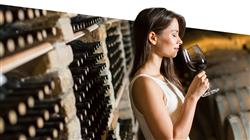 curso online crianza envejecimiento vinos