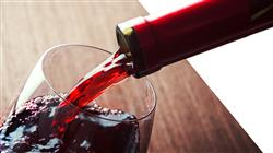 diplomado online crianza envejecimiento vinos