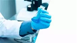 ##IMAGE##