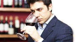 diplomado cata reconocimiento defectos vinos
