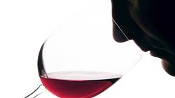 posgrado cata reconocimiento defectos vinos