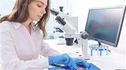 ##IMAGE##