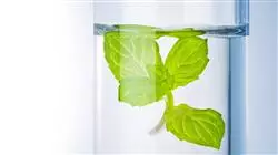 experto gestion evaluacion riesgos industrias alimentaria