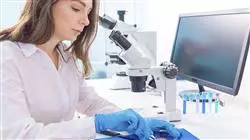##IMAGE##