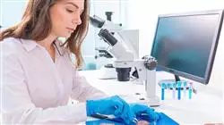 ##IMAGE##