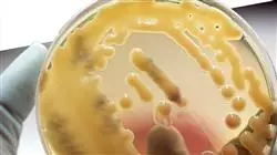 experto parasitologia alimentaria