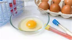 ##IMAGE##