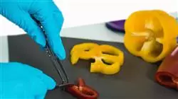##IMAGE##