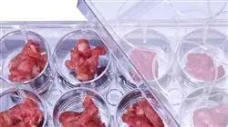 ##IMAGE##