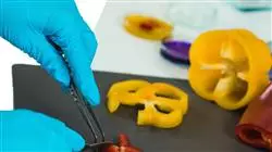 ##IMAGE##