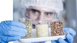 ##IMAGE##