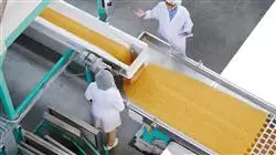 ##IMAGE##