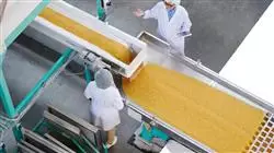 ##IMAGE##