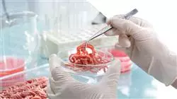 curso online analisis quimico alimentos