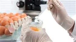 diplomado online analisis quimico alimentos