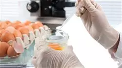 ##IMAGE##