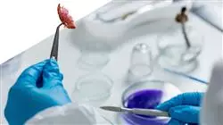 ##IMAGE##
