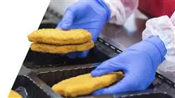 maestria online analisis evaluacion integral riesgos industria alimentaria
