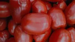 ##IMAGE##