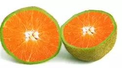 ##IMAGE##