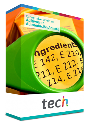 courseInfo