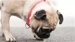 ##IMAGE##