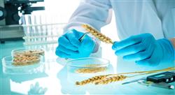 maestria online seguridad alimentaria nutricionistas