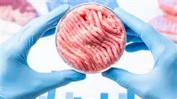 ##IMAGE##