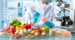 curso validacion procesos sector agroalimentario nutricionistas