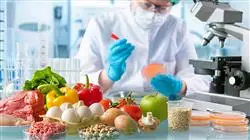 diplomado online validacion procesos sector agroalimentario