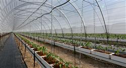 formacion validacion procesos sector agroalimentario nutricionistas