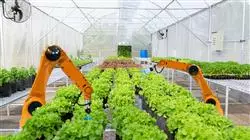 posgrado validacion procesos sector agroalimentario