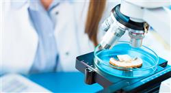 curso online gestion certificacion inocuidad industria alimentaria nutricionistas