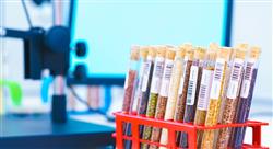 diplomado gestion certificacion inocuidad industria alimentaria nutricionistas