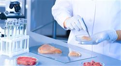diplomado online gestion certificacion inocuidad industria alimentaria nutricionistas