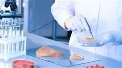 posgrado gestion certificacion inocuidad industria alimentaria
