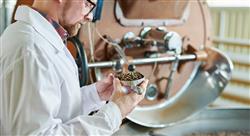 especializacion online sector alimentario