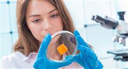 experto universitario sector alimentario