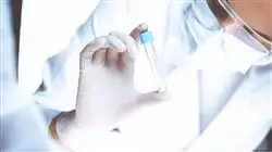 ##IMAGE##