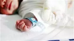 ##IMAGE##