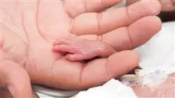 ##IMAGE##